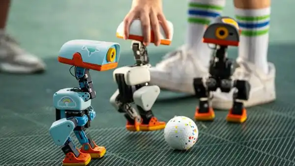 China-Made 'Robot Duck' Sells Out as Demand Soars